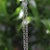 Vintage Sterling Silver 24” Open Link Chain by Brother Wolf For Sale - Image 4 of 4