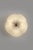Hana MD Flush Mount in Borosilicate Glass & Brass Finish by Schwung For Sale - Image 9 of 18