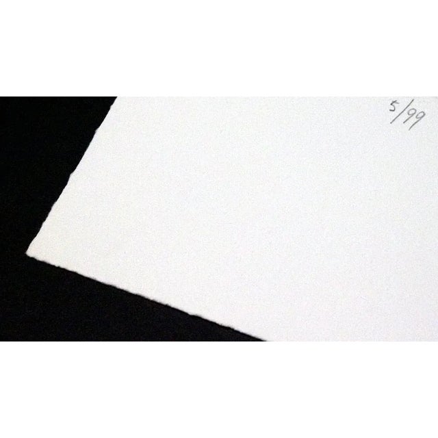 Wood Hans Richter Signed 1972 Etching, Edition 5/99, Custom Framed For Sale - Image 7 of 13
