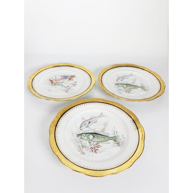 Ceramic Plates with Fish Decoration, France, 1970s, Set of 3 For Sale - Image 3 of 17