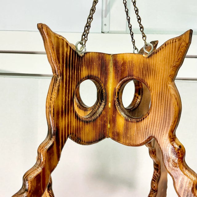 1970s Vintage Boho Chic Folk Art Burnt Pine Owl Hanging Planter. For Sale - Image 11 of 12