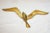 Elevate your space with this captivating set of three Mid-Century Modern brass flying seagull wall sculptures. Featuring...