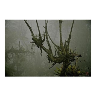 Untitled (1468), 2018 For Sale