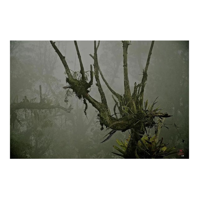 Untitled (1468), 2018 For Sale