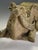 Victorian Gothic Revival Limestone Corbels, Tetramorph Lion & Ox, Harrogate, 1870, Set of 2 For Sale - Image 9 of 17
