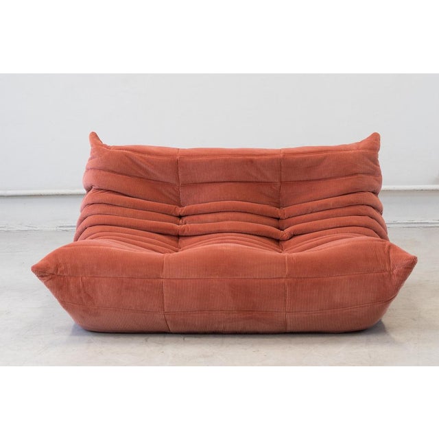 Togo Two-Seat Sofa in Coral Corduroy by Michel Ducaroy for Ligne Roset For Sale - Image 12 of 12