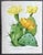 Green Vintage Yellow Flowering Cactus Botanical Reproduction Print Britton and Rose (1913) For Sale - Image 8 of 12
