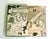 Here's the altogether charming 'THE LOG OF THE ARK by NOAH,' book, by I.L. Gordon and A.J. Frueh (aka HAM). The 126-pg...