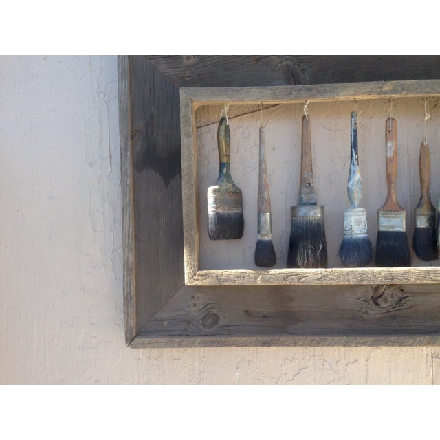 Framed Antique Horse Hair Brushes Set of 13 Chairish