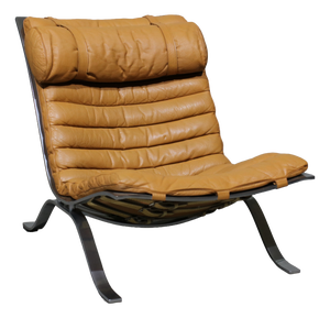 Model Ari Lounge Chair by Arne Norell for Arne Norell Ab, 1960s