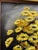 Original Mid-Century Oil on Canvas, Yellow Daisy Still Life, Signed Patti Rock, (1927 - 2004) For Sale - Image 12 of 15