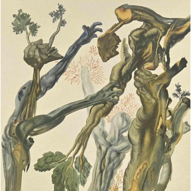 Modern Salvador Dali, Forest of Suicides, Woodcut, 1963 For Sale - Image 3 of 4