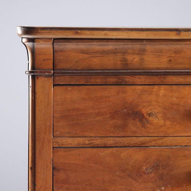 Cappuccino Chest of Drawers in Walnut For Sale - Image 6 of 10