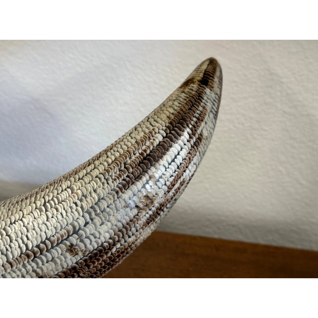 1980s Carved Etched Horn Mounted on a Tessellated Bone Base For Sale - Image 10 of 12