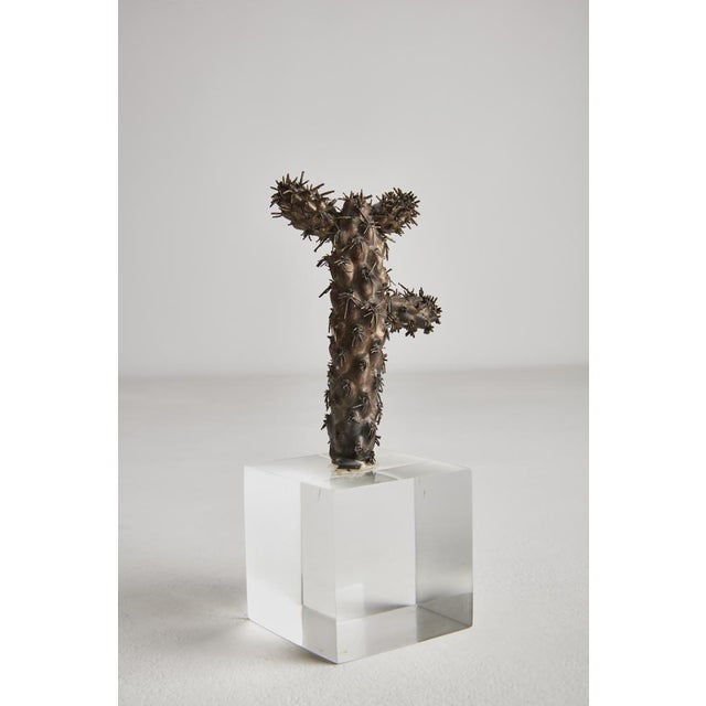 Cactus-shaped sculpture in 925 silver and resting on a cubic acrylic glass base. Punch at the base. Production maison...