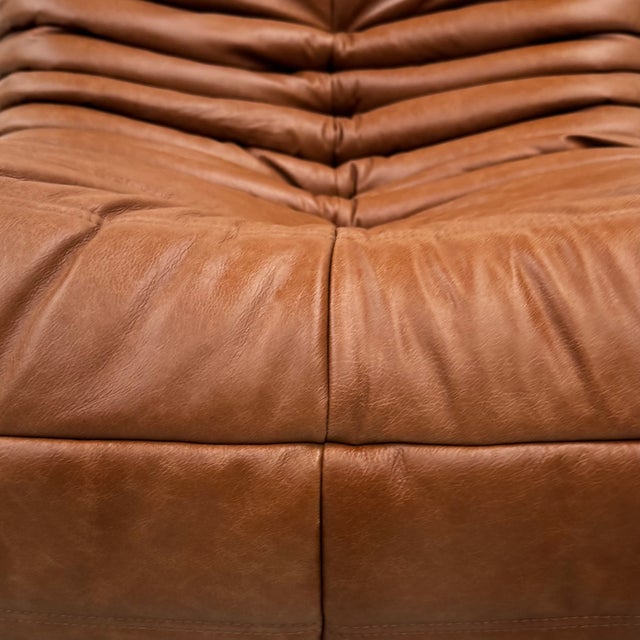 Vintage Togo Lounge Chair in Cognac Leather by Michel Ducaroy for Ligne Roset For Sale - Image 12 of 12