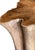 Sculptural Solid Teak Wood Table With Natural Grain & Bleached Finish For Sale - Image 6 of 14