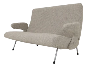Delfino Sofa by Erberto Carboni for Arflex, 1950s
