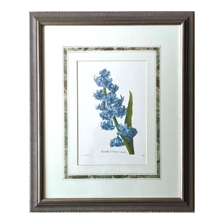 Custom Framed Vintage 'Blue Hyacinth' Print-Pierre Joseph Redoute For Sale