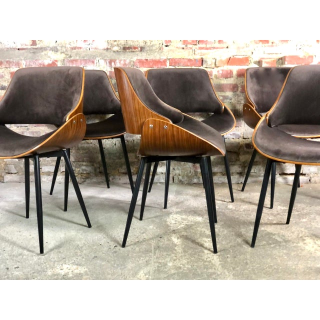 Set of 6 Danish chairs in thermoformed wood with visible grain, on black tubular legs, with velvet seats and backs. We...