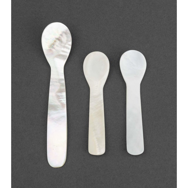 Late 20th Century Mother-of-Pearl Assembled Caviar Service - 9 pcs For Sale - Image 15 of 15