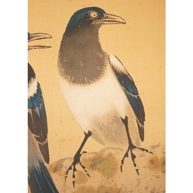C. 1900-1920s Imai Kōshi "Magpies on a Pine Tree", Japanese Silk Scroll Painting For Sale In Dallas - Image 6 of 18