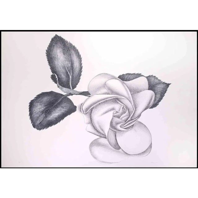 Black Rose is an original modern artowork realized by the Italian artist Giacomo Porzano (1925-2006) in 1972 Black and...