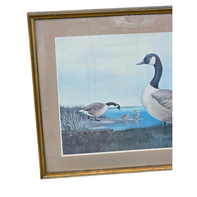 Art Deco 19th Century Beautiful Decorative Painting of Goose Family/ Wood Frame and Glass Cover. For Sale - Image 3 of 14