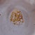 Late 19th Century French Art Nouveau Cameo Glass Vase For Sale - Image 9 of 9