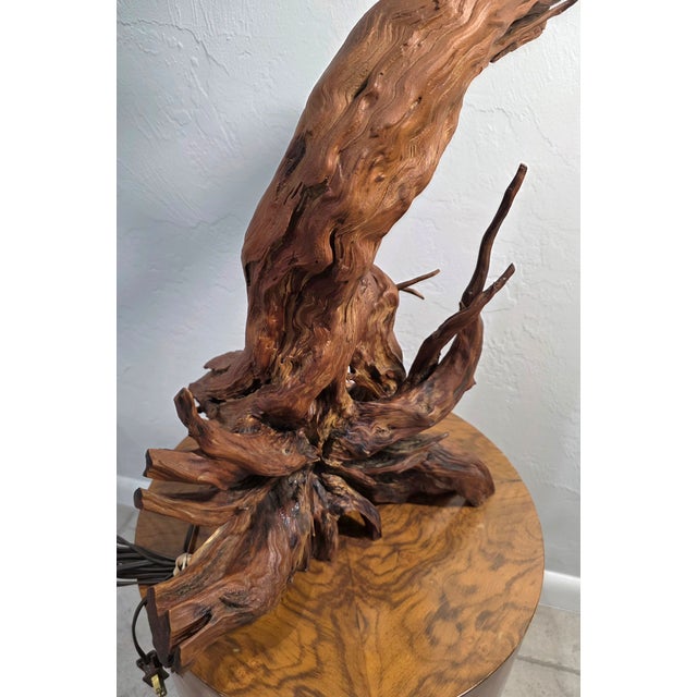 Mid-Century Modern Vintage Driftwood MCM Wood Table Lamp For Sale - Image 3 of 12