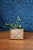 A cube planter on feet with a reed or grass criss-cross design weave in panels. Framed in shiny gold brass this has a...