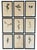 A beautifully curated set of nine authentic French herbarium specimens, dated 1965 and professionally custom framed in...