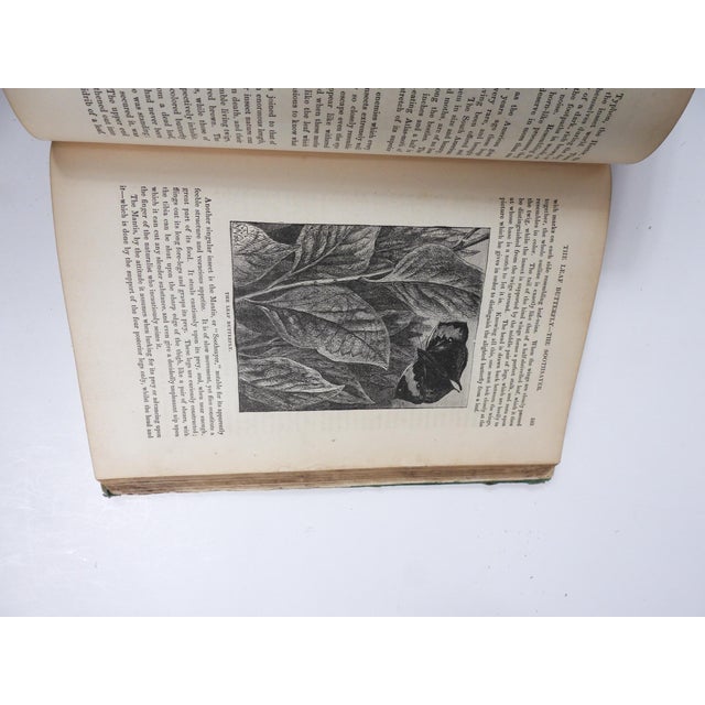 1874 Polar and Tropical Worlds Arctic and World Expeditions Book For Sale - Image 9 of 16