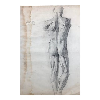 1938 Nathan Kredenser Male Nude Muscular Study For Sale