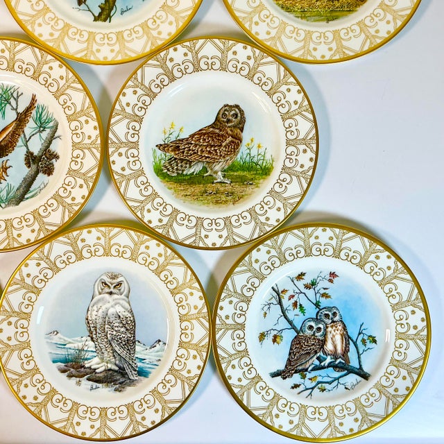 Ceramic 1980 Vintage Arts & Crafts English Bone China Owl Dinner Plates -Set of 8. For Sale - Image 7 of 18