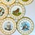 Ceramic 1980 Vintage Arts & Crafts English Bone China Owl Dinner Plates -Set of 8. For Sale - Image 7 of 18
