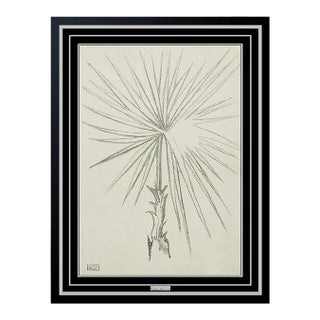 Early 20th Century Beauty's Pain, Joseph Stella For Sale