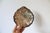Vintage silver-plated scallop shell trinket dish. Makers stamp on back. Some tarnishing.