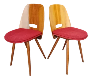 Chairs by Frantisek Jirak, 1960s, Set of 2