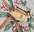 1996 Fitz and Floyd Oceana Fish Serving Platter For Sale In Dallas - Image 6 of 12