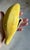 Ceramic Italian Glazed Ceramic Banana Sculpture (After Warhol) (After Maurizio Cattelan) For Sale - Image 7 of 18