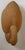 Life-Size Wooden Swan, 1970s For Sale - Image 11 of 17