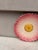 French Country Majolica Pink Daisy Plate Delphin Massier, Circa 1890 For Sale - Image 3 of 5