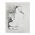 The Flower Sutra Virginia Cohn Parkum, c. Unknown In The Flower Sutra, Virginia Cohn Parkum creates a contemplative field...