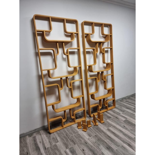 Mid-Century Modern Room Dividers by Ludvik Volak for Drevopodnik Holesov, 1950s, Set of 2 For Sale - Image 3 of 12