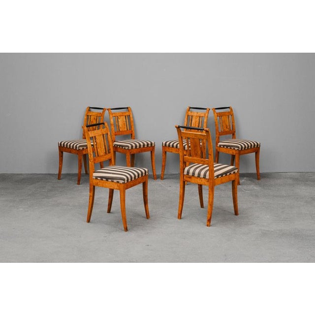 19th Century Biedermeier Chairs in Birch, Set of 6 For Sale - Image 3 of 18