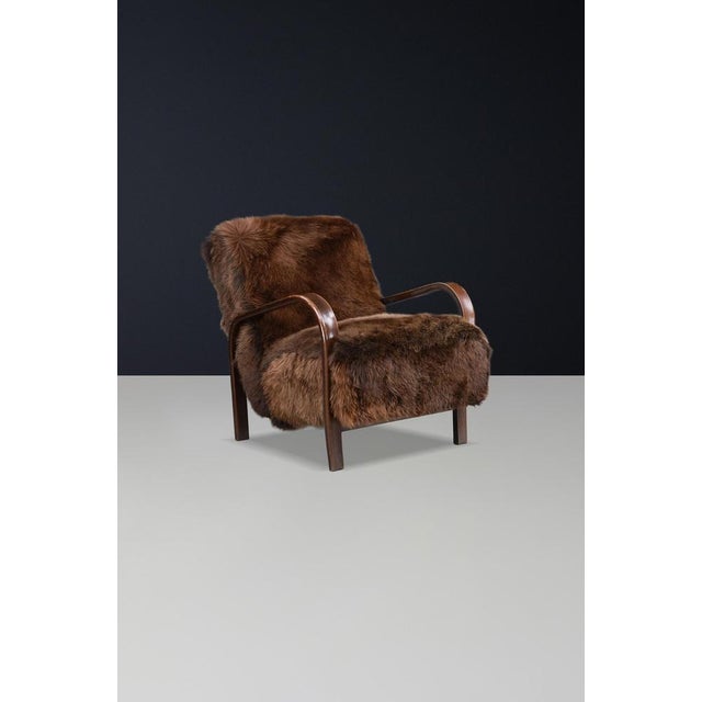 Mid-Century Czech Bentwood and Sheepskin Chair attributed to Kozelka Kropacek, 1940s For Sale - Image 3 of 12