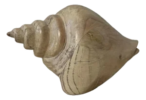 Late 20th Century Sarreid Large Carved Wood Conch Shell, Made in Spain