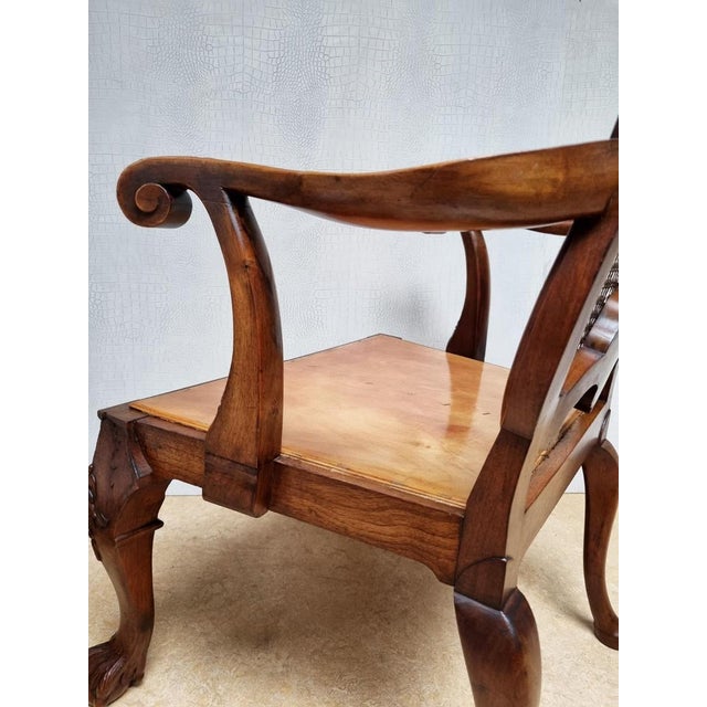 Chippendale Bergere Armchair in Carved Mahogany with Caned Backrest and Lion's Claw and Ball For Sale - Image 15 of 18
