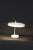 1960s Pavvo Tynell Influence Desk Lamp For Sale - Image 5 of 13